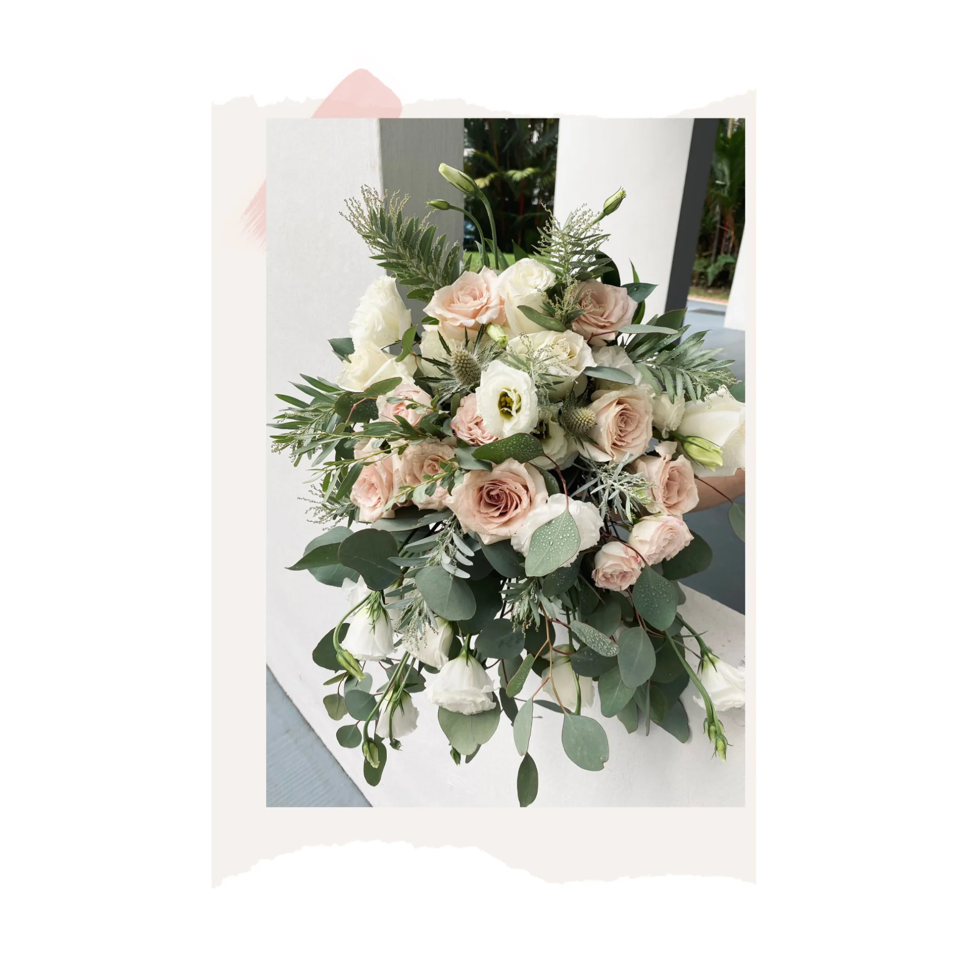 Blush roses & eucalyptus